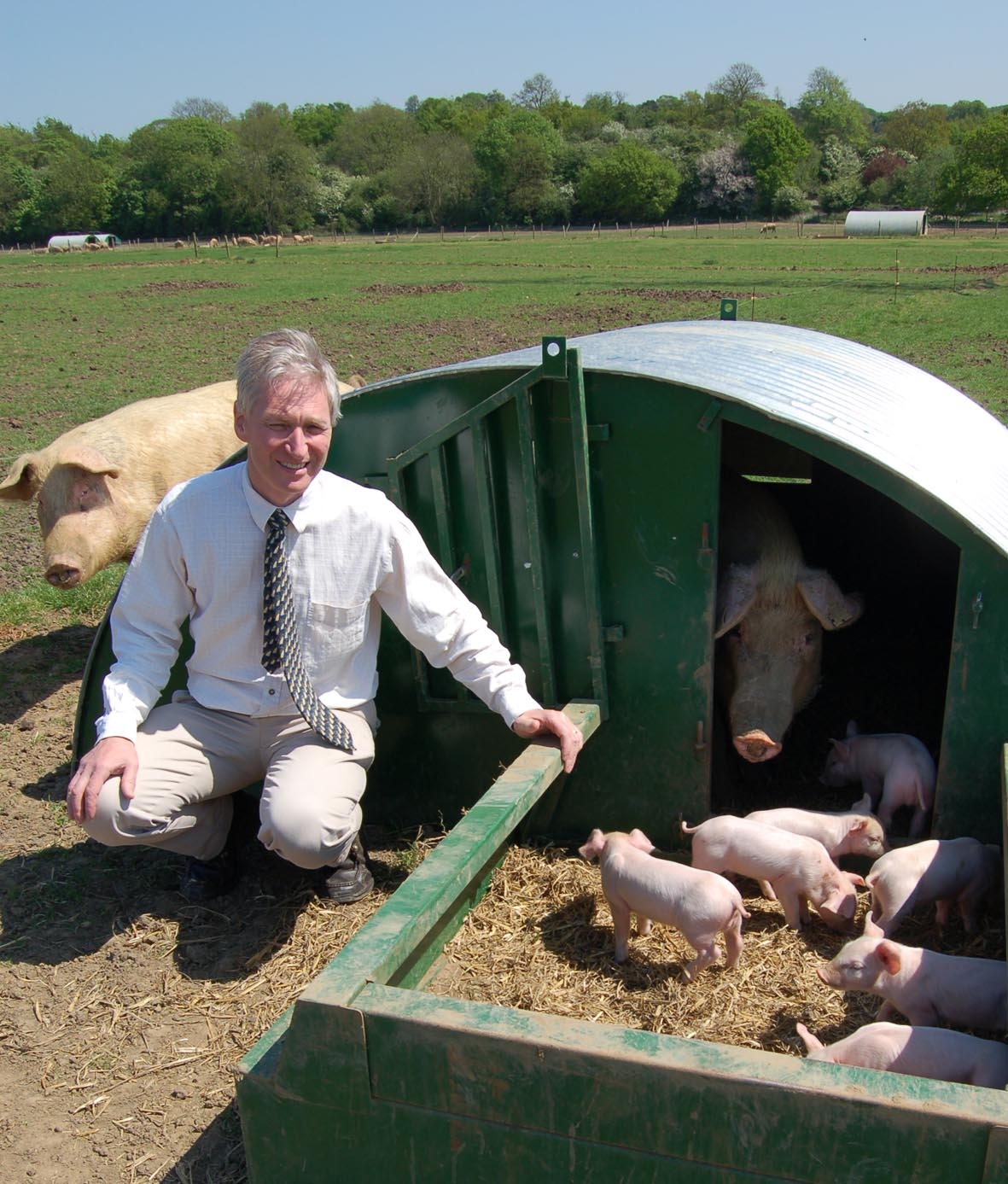 Derek Armstrong crouched next to farrowing arc with piglets